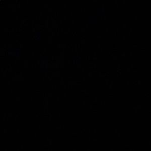 Meet your Posher, Jihad